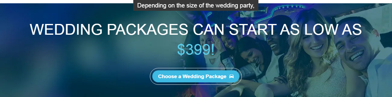banner-WeddingPckgsStartAt-1